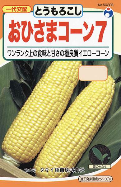 おひさまコーン7(トウモロコシ) | 株式会社ウタネ