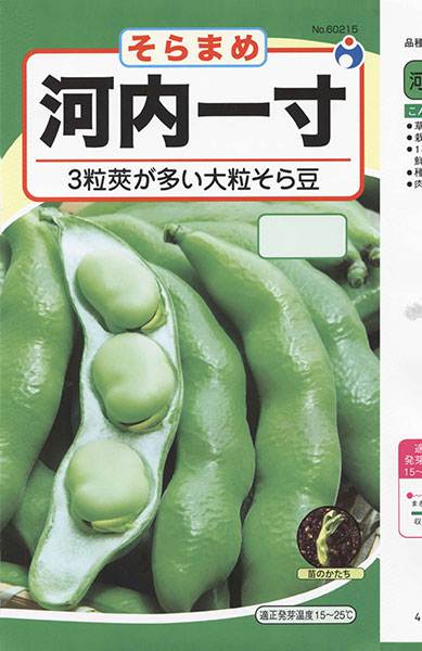 ポリカーボネイト製キッチンポット 一寸そら豆 通販