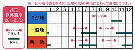 わさび大根 株式会社ウタネ わさび大根 株式会社ウタネ