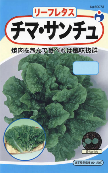 リーフレタス チマ・サンチュ | 株式会社ウタネ