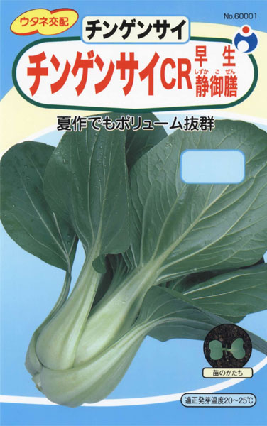66円 爆買いセール ウタネ 野菜の種 種子 チンゲンサイ チンゲンサイCR 早生静御膳 種 追跡可能メール便発送 全国一律370円 60001 66円 爆買いセール ウタネ 野菜の種 種子 チンゲンサイ チンゲンサイCR 早生静御膳 種 追跡可能メール便発送 全国一律370円 60001