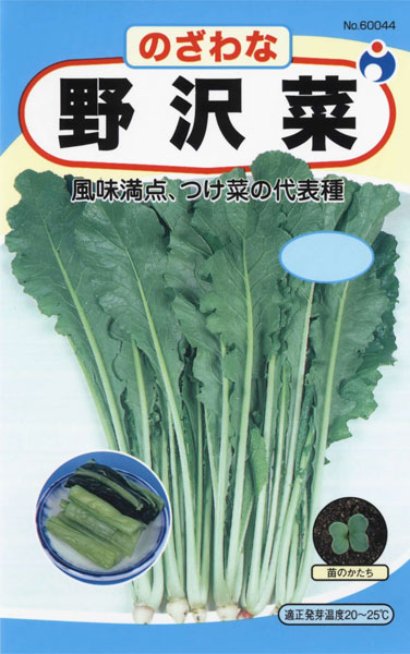野沢菜 株式会社ウタネ 野沢菜 株式会社ウタネ