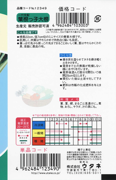 根っ子