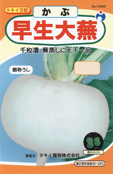 耐病 ひかりかぶ | 株式会社ウタネ