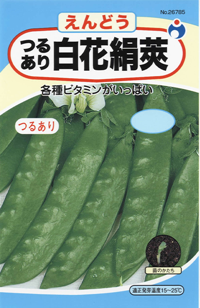 つるあり白花絹莢 | 株式会社ウタネ