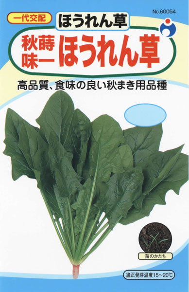 サラダ法蓮草（ほうれん草） | 株式会社ウタネ