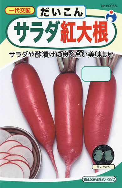 サラダ紅大根 株式会社ウタネ