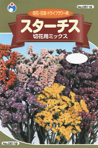 スターチス 切花用ミックス 株式会社ウタネ スターチス 切花用ミックス 株式会社ウタネ