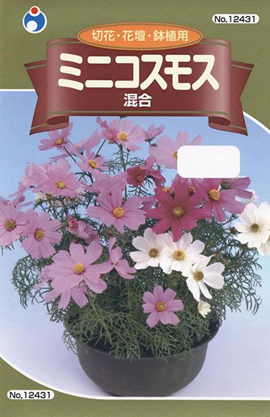 ミニコスモス 株式会社ウタネ