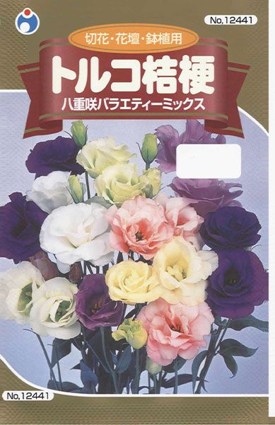 トルコ桔梗 八重咲バラエティーミックス 株式会社ウタネ