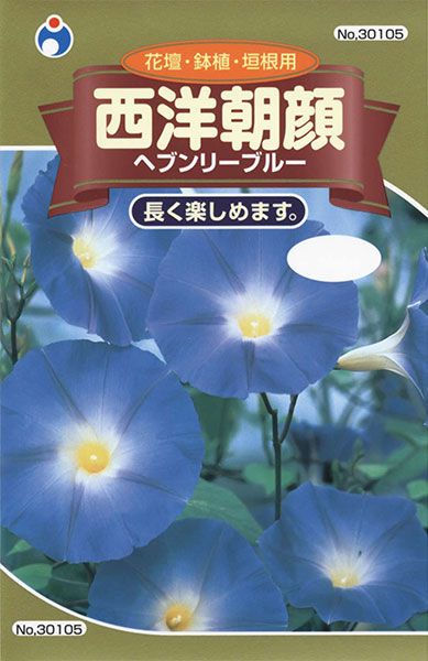 西洋朝顔 ヘブンリーブルー 株式会社ウタネ