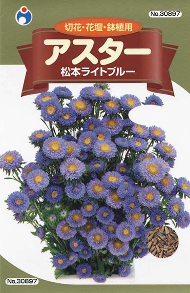 アスター 松本ライトブルー 株式会社ウタネ