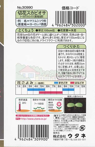 切花スカビオサ トールダブルミックス 西洋松虫草 株式会社ウタネ