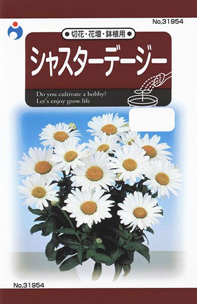 シャスターデージー 株式会社ウタネ