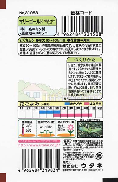 マリーゴールド 切花用アイシスミックス 株式会社ウタネ