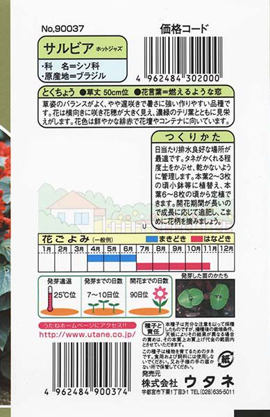 使い勝手の良い】 サカタのタネ 実咲花7210 サルビア ホットジャズ スペシャル 00907210