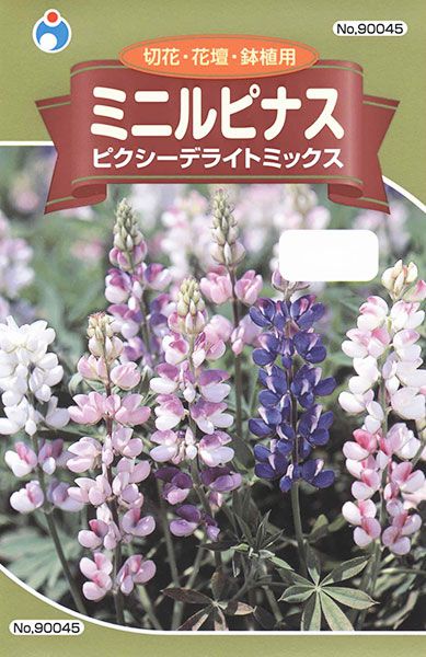 ミニルピナス(ピクシーデライトミックス) | 株式会社ウタネ