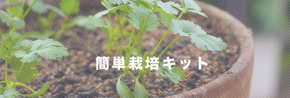 簡単栽培キット | 株式会社ウタネ