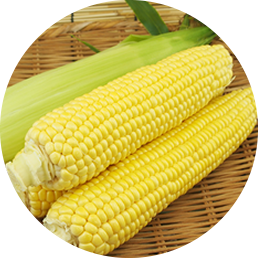 トウモロコシ