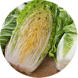 白菜（はくさい）