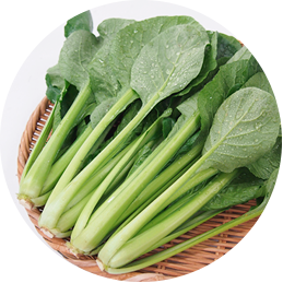 小松菜（こまつな）