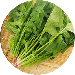 法蓮草（ほうれんそう）