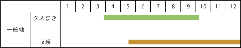 葉大根の栽培表
