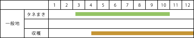 小松菜（こまつな）の栽培表