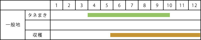 チンゲンサイの栽培表