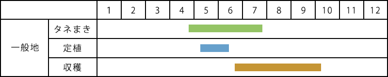 インゲン栽培表