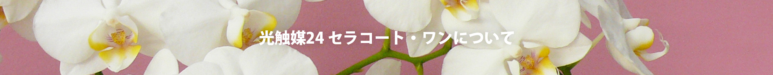 光触媒24 セラコート・ワンについて