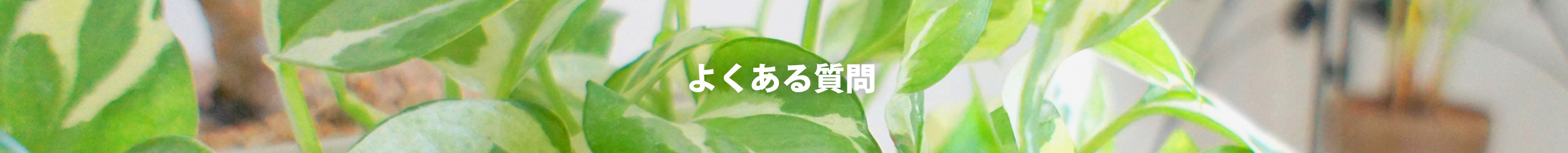 よくある質問