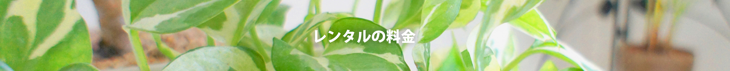レンタルの料金