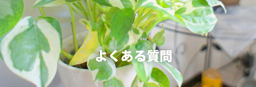 よくある質問