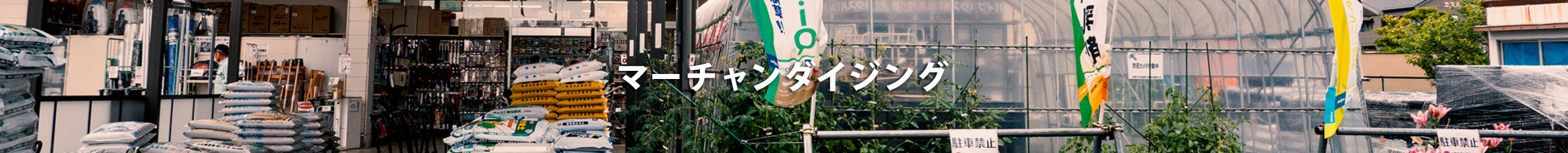 マーチャンダイジング