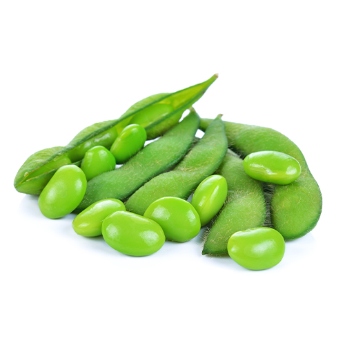 夏野菜種子