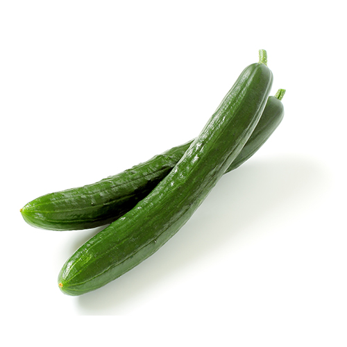 夏野菜種子